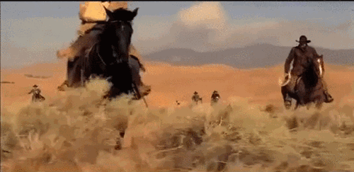 Cowboys herding cats.